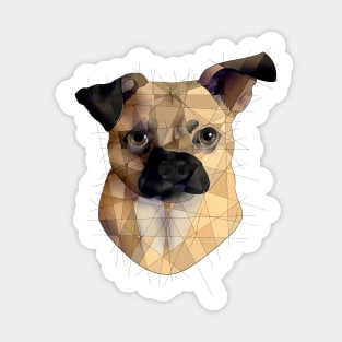 Puggle Sticker